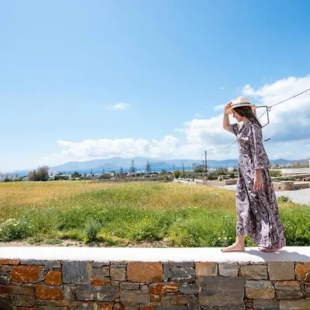 Naxos Agia Anna Sunset View Olive House Apartment *