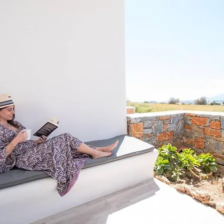 Naxos Agia Anna Sunset View Olive House Apartment Agia Anna (Naxos)