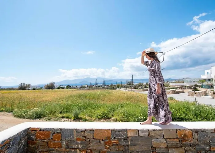 Naxos Agia Anna Sunset View Olive House Apartment *