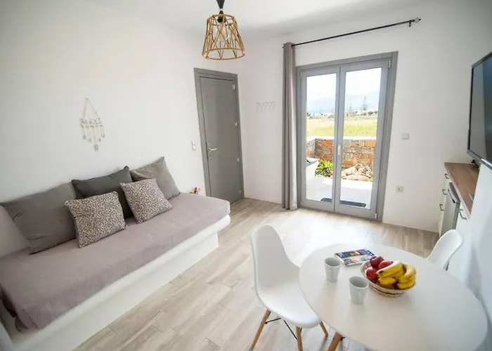 Apartment Naxos Agia Anna Sunset View Olive House