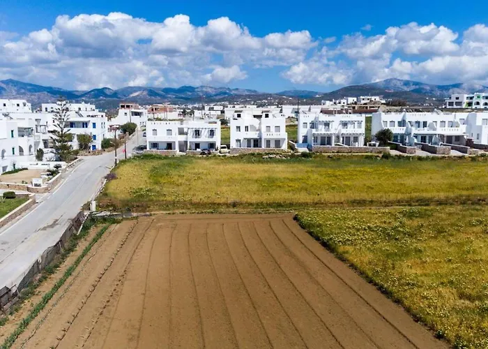 Apartment Naxos Agia Anna Sunset View Olive House *